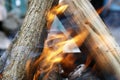 Burning tree in the grill. Bonfire on the grill with smoke. Arson or natural disaster. Bonfire close. Fire in nature. Campfire Royalty Free Stock Photo