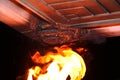 Burning of Vespa orientalis's nest under eaves