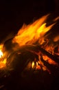 Burning wood Bonfire with Red and orange flame on black background Royalty Free Stock Photo