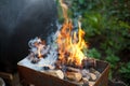 Burning wood in a brazier. Fire, flames from wood ember for grill or bbq Royalty Free Stock Photo