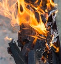 Burning wood in a brazier Royalty Free Stock Photo