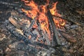 burning wood campfire Royalty Free Stock Photo