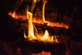 Burning wood campfire in the night darkness Royalty Free Stock Photo