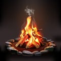 Burning Wood Campfire Royalty Free Stock Photo