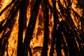 Burning Wood, Campfire, Vibrant Flames Royalty Free Stock Photo