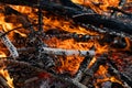 Burning Wood, Campfire, Vibrant Flames Royalty Free Stock Photo