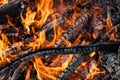 Burning Wood, Campfire, Vibrant Flames Royalty Free Stock Photo