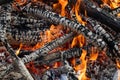 Burning Wood, Campfire, Vibrant Flames Royalty Free Stock Photo