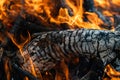 Burning Wood, Campfire, Vibrant Flames Royalty Free Stock Photo