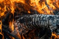Burning Wood, Campfire, Vibrant Flames Royalty Free Stock Photo