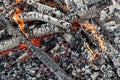 Burning Wood, Campfire, Vibrant Flames Royalty Free Stock Photo