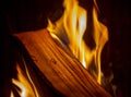 Burning wood close-up Royalty Free Stock Photo