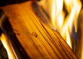 Burning wood close-up Royalty Free Stock Photo
