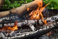 Burning wood, bonfire in the barbecue in nature