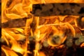 Burning wood close-up, fire is burning and sparks fly Royalty Free Stock Photo