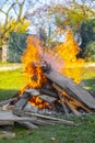 Burning wood, ember and logs on fire. Royalty Free Stock Photo