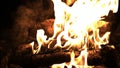 Burning wood in the fire. Camp fire in the night. Fire flames. Forest fire close up