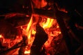 Burning wood fire in fireplace Royalty Free Stock Photo