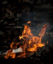 Burning wood in fire Royalty Free Stock Photo