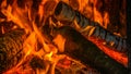 Burning wood in the fire pit Royalty Free Stock Photo