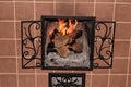 Burning wood in the fireplace Royalty Free Stock Photo