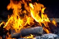 Burning wood in the fireplace close up