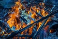 Burning wood, flame and smoke on blue background Royalty Free Stock Photo