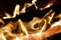 Burning wood Royalty Free Stock Photo