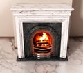 Burning wood logs inside fireplace. 3D illustration Royalty Free Stock Photo