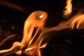 Burning wood at night. Campfire at touristic camp at nature in mountains. Flame amd fire sparks on dark abstract Royalty Free Stock Photo