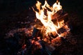 Burning wood at night. Campfire at touristic camp at nature in mountains. Flame amd fire sparks on dark abstract Royalty Free Stock Photo