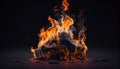 Burning wood at night. Campfire at touristic camp at nature in mountains. Flame amd fire sparks on dark abstract background Royalty Free Stock Photo