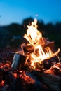 Burning wood at night. Campfire at touristic camp at nature in mountains. Flame amd fire sparks on dark abstract Royalty Free Stock Photo