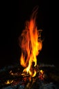 Burning wood at night. Campfire at touristic camp at nature in mountains