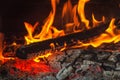 Burning wood at night. Flame and fire sparks on dark abstract background. Cooking barbecue outdoor.