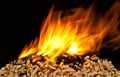 Burning wood pellet Royalty Free Stock Photo