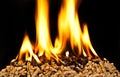 Burning wood pellet Royalty Free Stock Photo