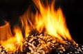 Burning wood pellet