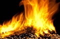 Burning wood pellet Royalty Free Stock Photo