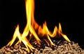 Burning wood pellet Royalty Free Stock Photo
