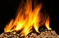 Burning wood pellet Royalty Free Stock Photo