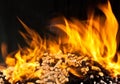 Burning wood pellet