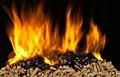Burning wood pellet Royalty Free Stock Photo