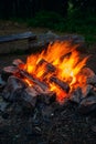 Burning wooden firewood close up