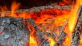 Burning woods in the fire pit Royalty Free Stock Photo