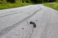 Burnout marks on the asphalt road with tire pieces Royalty Free Stock Photo