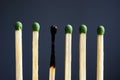 Burnout at work and over exhausted. Line of matches and one burnt Royalty Free Stock Photo