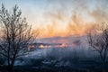 Burns dry grass in sky smoke. Royalty Free Stock Photo