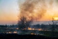 Burns dry grass in sky smoke. Royalty Free Stock Photo