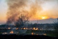 Burns dry grass in sky smoke. Royalty Free Stock Photo